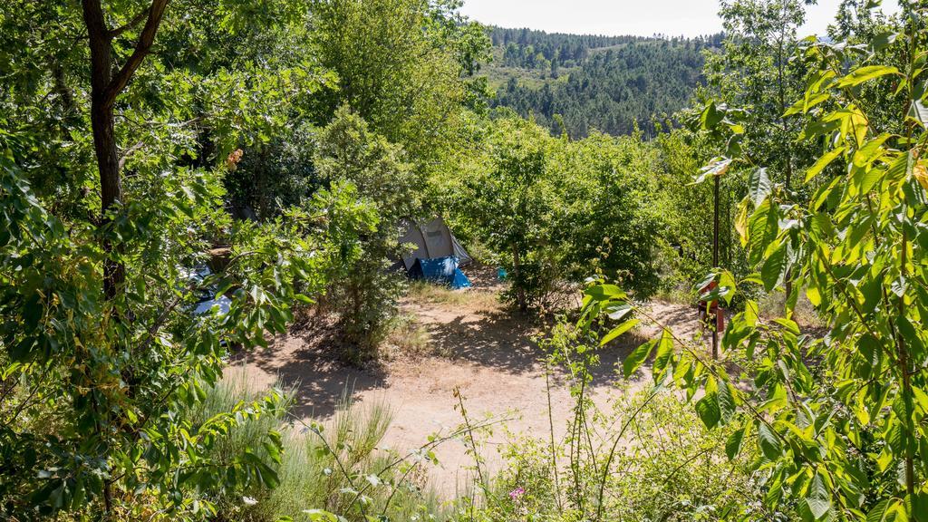 Micro Cabana Rotativa Bragança Екстериор снимка